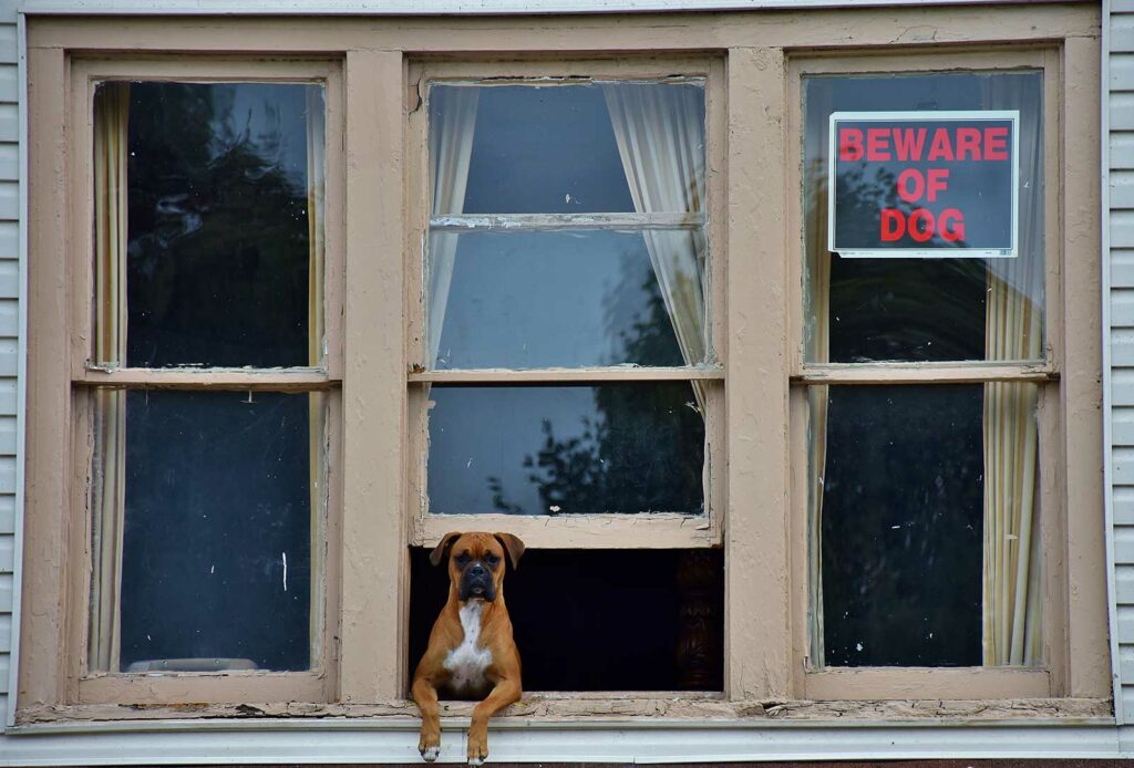 beware_of_dog_home_security